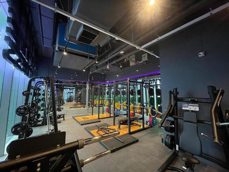 Anytime Fitness Orchard - Photo 2 Anytime Fitness Orchard - Photo 2