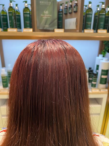 Emmebi Italia Head Spa - Hong Kong Hair Care Scalp Treatment Salon - Photo 2 Emmebi Italia Head Spa - Hong Kong Hair Care Scalp Treatment Salon - Photo 2