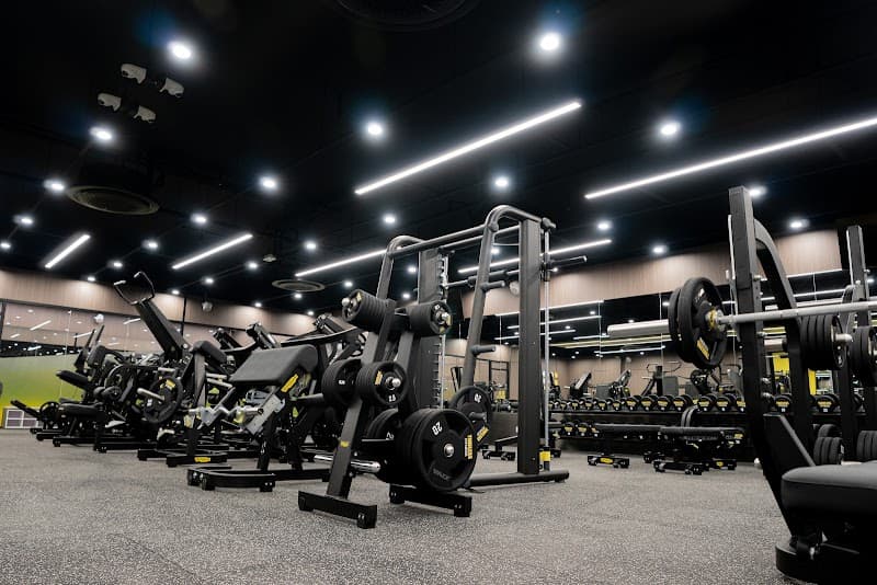 Timeless Fitness Timeless Fitness