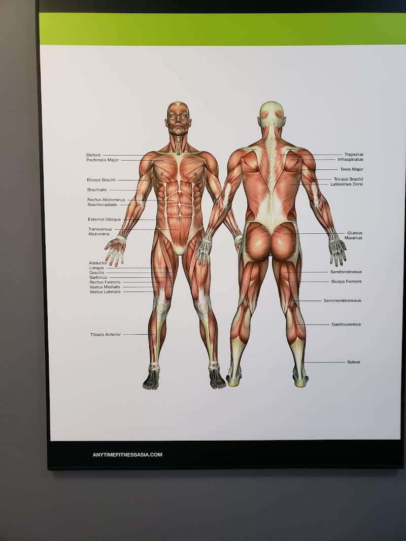 Anytime Fitness Sham Shui Po - Photo 5 Anytime Fitness Sham Shui Po - Photo 5
