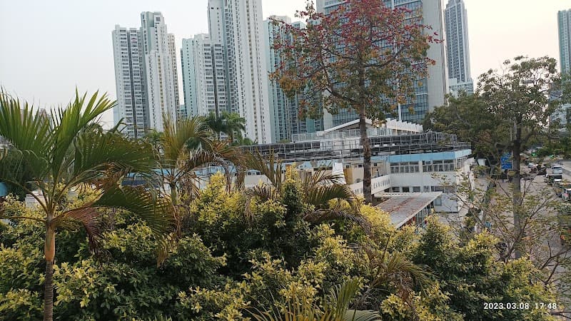 Sham Shui Po Park Swimming Pool - Photo 5 Sham Shui Po Park Swimming Pool - Photo 5