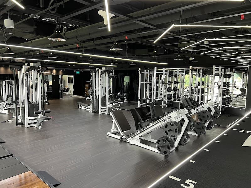Freedom Gym Freedom Gym