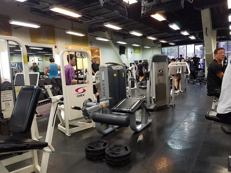 Yan Oi Tong Cheng Yiu Yuen Memorial Fitness Centre - Photo 3 Yan Oi Tong Cheng Yiu Yuen Memorial Fitness Centre - Photo 3