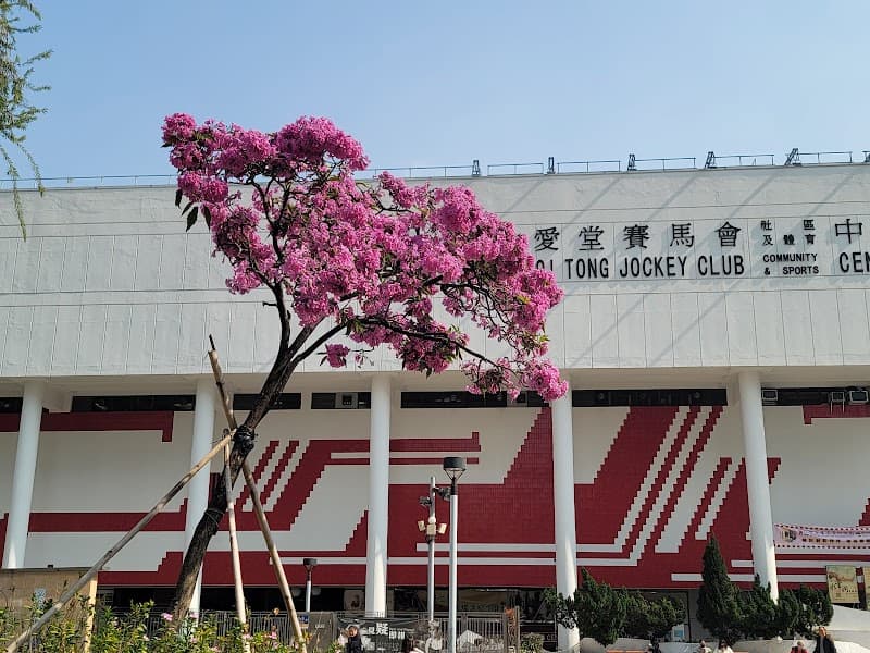 Yan Oi Tong Cheng Yiu Yuen Memorial Fitness Centre - Photo 4 Yan Oi Tong Cheng Yiu Yuen Memorial Fitness Centre - Photo 4