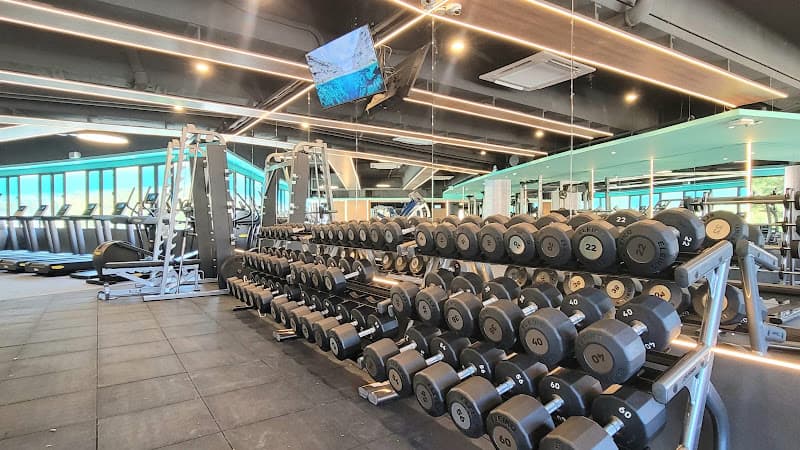 EMS Fitness Discovery Bay - Photo 3 EMS Fitness Discovery Bay - Photo 3