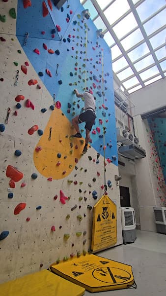 Hong Kong Climbing Park - Photo 4 Hong Kong Climbing Park - Photo 4