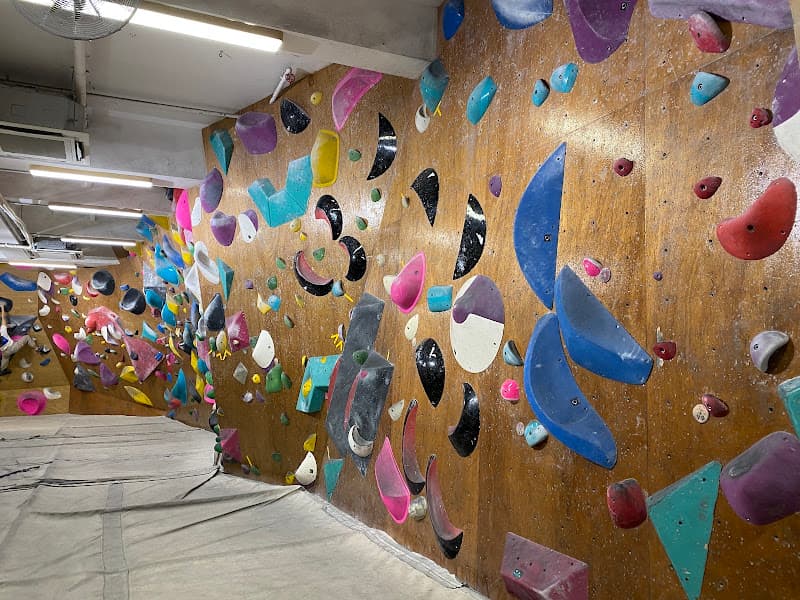 Hong Kong Climbing Park - Photo 5 Hong Kong Climbing Park - Photo 5
