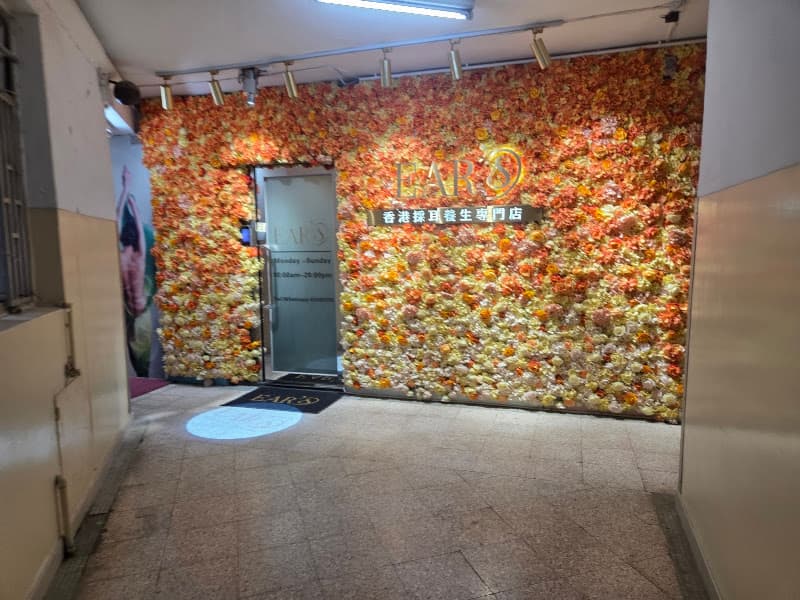 香港採耳業國際聯會 Ears_HK 香港採耳業國際聯會 Ears_HK