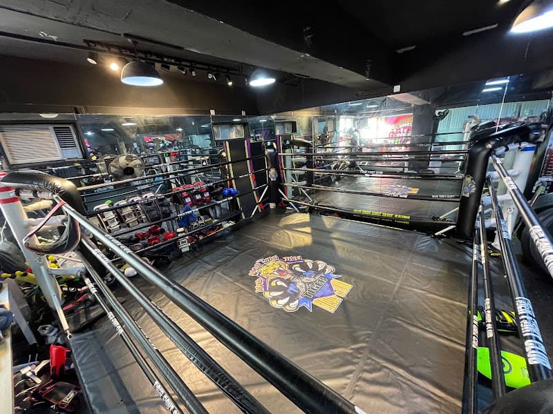Hanuman Thai Boxing & Fitness Centre 孫悟空泰拳及健身中心 - Photo 1 Hanuman Thai Boxing & Fitness Centre 孫悟空泰拳及健身中心 - Photo 1