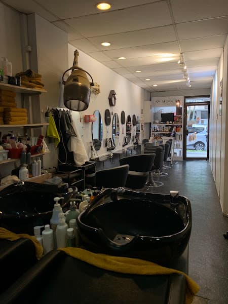Janess Hair Studio Janess Hair Studio