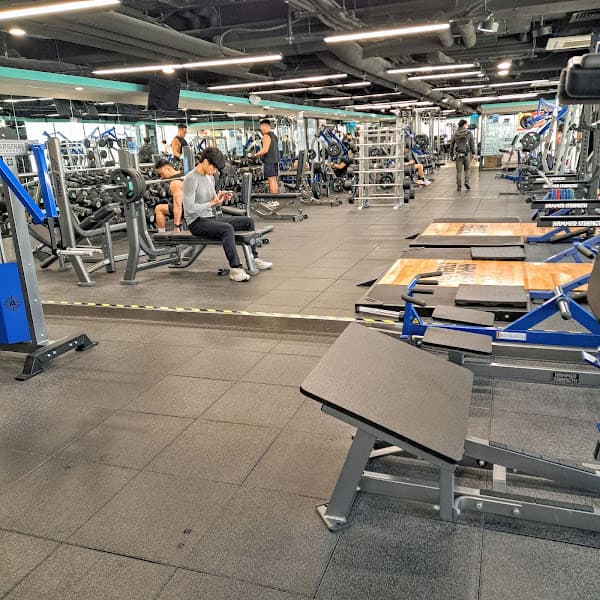 Anytime Fitness Prince Edward - Photo 4 Anytime Fitness Prince Edward - Photo 4