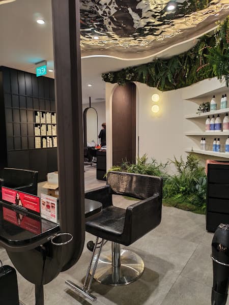 Yun Nam Hair Care | Hair Loss, Dandruff, Oily Scalp, White Hair Herbal Treatment - Photo 4 Yun Nam Hair Care | Hair Loss, Dandruff, Oily Scalp, White Hair Herbal Treatment - Photo 4