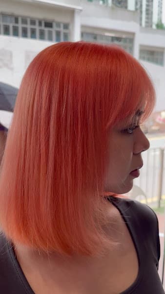 Hair Garden 康德店 - Photo 2 Hair Garden 康德店 - Photo 2